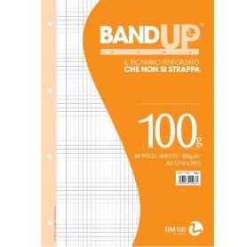 RICAMBI RINF. BAND UP 100G A4 R.Q (0111983)