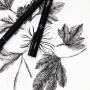Uni-Ball Pin 1.0 penna tecnica Nero 1 pz (MPIN110N)