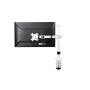 BRACCIO MONITOR FOCUS SINGLE BIANCO (100091331)