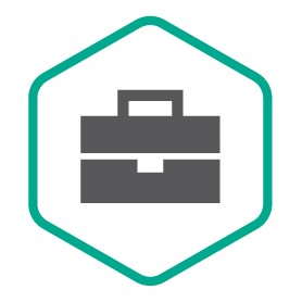 Kaspersky Professional Services Licenza 1 anno/i 12 mese(i) (KL7222X1AFZ)