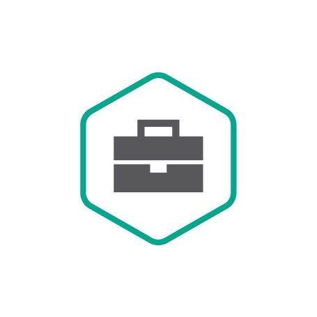 Kaspersky Professional Services Licenza 1 anno/i 12 mese(i) (KL7222X1AFZ)