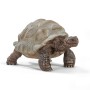 Schleich Wild Life 14824 action figure giocattolo (14824)