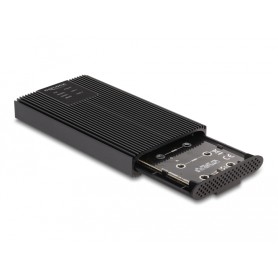 DeLOCK Alloggiamento esterno USB 20 Gbps per 2 x M.2 NVMe PCIe SSD con USB Type-C femmina e RAID - strumento gratuito (42022)