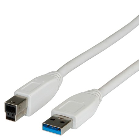 ITB ROS3001 cavo USB 0,8 m USB 3.2 Gen 1 (3.1 Gen 1) USB A USB B Beige (ROS3001)