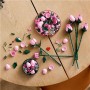 BOUQUET DI ROSE ROSA (10374)