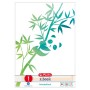 Arbeitsblock A4 GREENline 50 Blatt Lineatur 01 Motiv Panda, College Block (liniert, A4) (50039890)