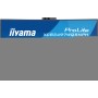 iiyama ProLite XCB3497WQSNPH-B1 Monitor PC 86,4 cm (34") 3440 x 1440 Pixel Nero
