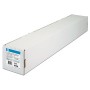 HP C0F22A pellicola per stampa (C0F22A)