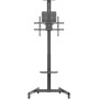SpeaKa Professional SP-TVC-1300 TV-Rollwagen Höhenverstellbar 94.0 cm 37" - 190.5 75" (SP-13383160)