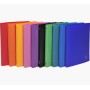 Exacompta 511999E cartella Polipropilene (PP) Multicolore A4 (511999E)