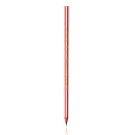 BIC 918487 matita di grafite HB (918487)