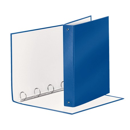 Esselte 395792960 raccoglitore ad anelli Blu (395792960)