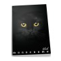 Pigna Monocromo quaderno per scrivere A4 19 fogli Nero (02303370Q)