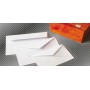 Blasetti 533 busta Carta Bianco (0533)