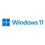 Windows 11 Pro for Workstations (64-Bit, Deutsch, DVD-ROM) (HZV-00107)