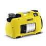 Bewsserungspumpe BP 5 Home & Garden (gelb/schwarz, 1.000 Watt, fr Klarwasser) (1.645-355.0)
