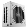 Rebel P20 1200 White (wei, 1x 12 Pin High Power Anschluss, 4x PCIe, Kabelmanagement, 1200 Watt) (4044951042432)