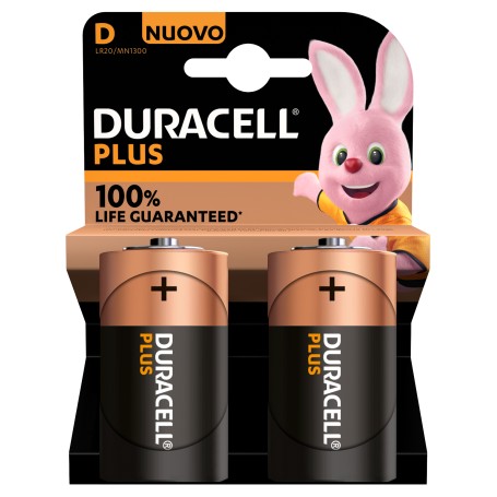 Duracell Plus 100 D B2 x10 (141988)