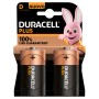 Duracell Plus 100 D B2 x10 (141988)