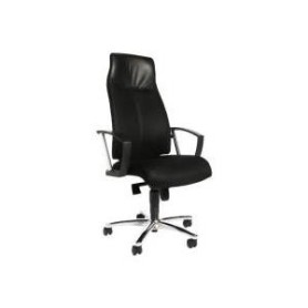 Topstar Bürodrehstuhl "High Sit up", schwarz, inkl. feste Armlehnen A1, Maße: (B)480 x (T)460 x (H)440 - 520 mm (SU39A-BG0)
