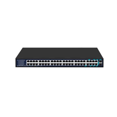 Lanview LVN-1UMOUNT-48PORT-2SFP-1G non classificato