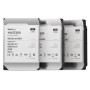 Synology HAS5300-12T disco rigido interno 3.5" 12000 GB SAS (HAS5300-12T)