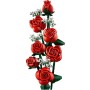 TBD-ICONS-BOTANICALS-1-2024 (10328)