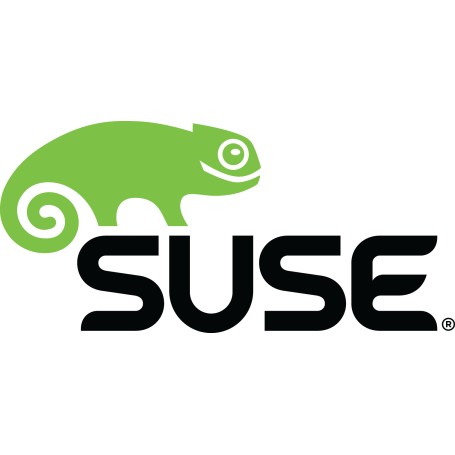 Suse Linux Enterprise Workstation Extension, 1 Y Client Access License (CAL) 1 anno/i (874-006953)