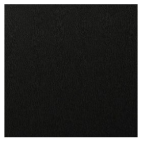 Canson C200001429 carta crespa Nero