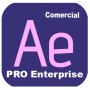 AFTER EFFECTS - PRO ENTRP MULTI (65324820CA01A12)