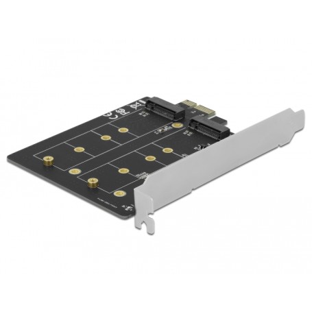 DeLOCK 90432 scheda di interfaccia e adattatore Interno M.2 (90432)