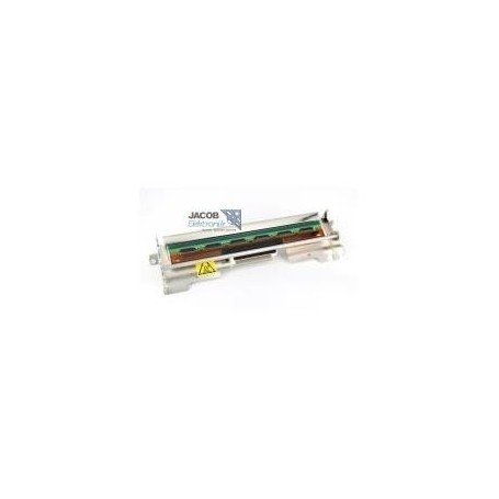 Toshiba Druckkopf 203dpi für Etikettendrucker B-EV4T (7FM03784000)