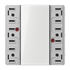 JUNG LS 5073 TSM interruttore elettrico (LS5073TSM)