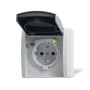 Busch-Jaeger 3120 EWB-53 presa energia Tipo F Grigio, Bianco (2CKA003116A0664)