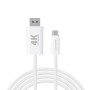 4smarts 540958 cavo DisplayPort 2 m USB C Bianco