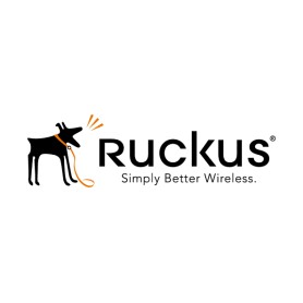 RUCKUS Networks Advanced Hardware Replacement 1 anno/i (823-RU51-1000)