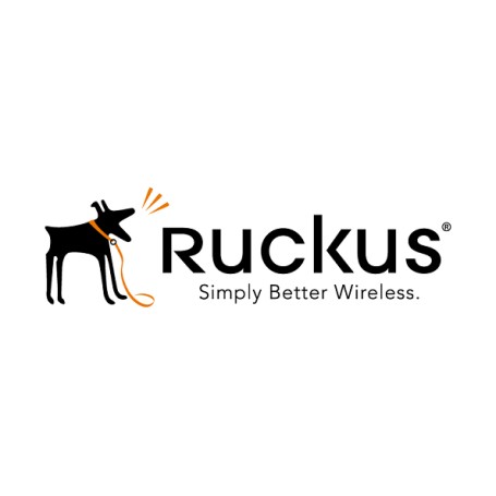 RUCKUS Networks Advanced Hardware Replacement 1 anno/i (823-RU51-1000)