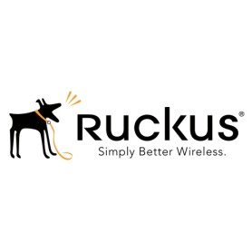RUCKUS Networks 909-0001-ZD12 licenza per software/aggiornamento 1 licenza/e
