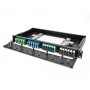 DeLOCK 66924 pezzo di pannello 1U (66924)