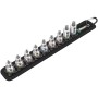 Zyklop Bitnuss-Satz Belt B3 TORX HF, 3/8", 9-teilig (schwarz/silber, mit Haltefunktion) (05003972001)