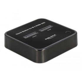 DeLOCK Docking Station M.2 per 2 x M.2 NVMe PCIe SSD con funzione di clonazione (64177)