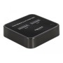 DeLOCK Docking Station M.2 per 2 x M.2 NVMe PCIe SSD con funzione di clonazione (64177)