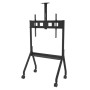 Peerless Paramount 190,5 cm (75") Pavimento Nero (PR565)