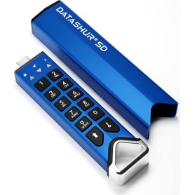 iStorage datAshur SD - USB flash drive with built-in microSD card reader - verschlüsselt - USB-C 3.2 Gen 1 (IS-FL-DSD-256-SP)