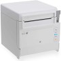 Seiko Instruments RP-F10-W27J1-2 203 x 203 DPI Cablato Matrice di punti Stampante POS (22450123)