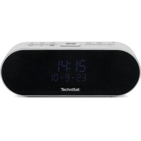 TechniSat DIGITRADIO 53 BT Personale Analogico e digitale Grigio chiaro (0001/3941)