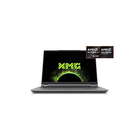 Schenker XMG EVO 15 E25vmp 15.3" WQXGA Ryzen AI 9 HX 370 32 GB RAM 1 TB SSD Win11 (10506479)