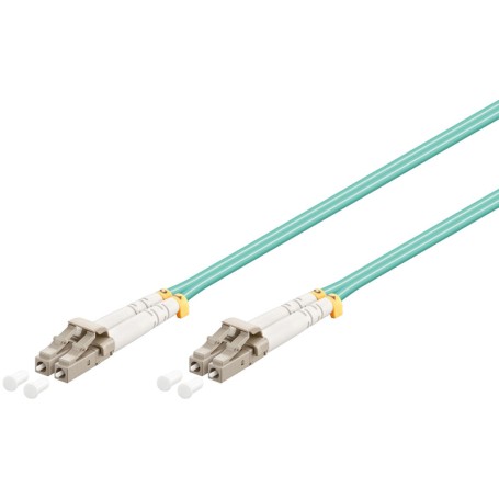 WP WPC-FP3-5LCLC-005 cavo a fibre ottiche 0,5 m LC OM3 Blu (WPC-FP3-5LCLC-005)
