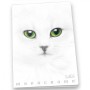 Pigna Monocromo quaderno per scrivere A4 19 fogli Bianco (02307910C)