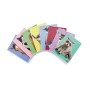 CF10 MAXI D.CUCCIOLI 42FF 0B F.TOA4 (02330170B)